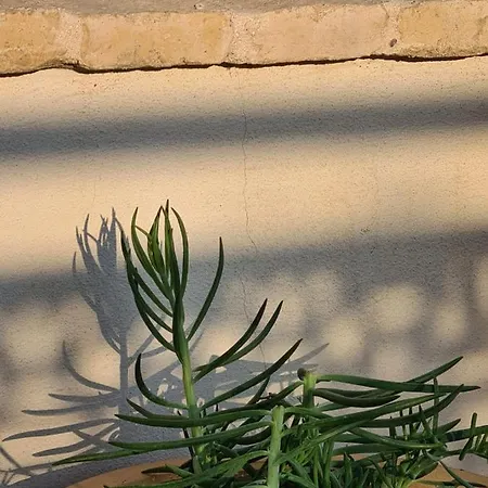 ゲストハウス Hom Museo *