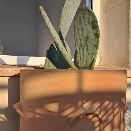 ゲストハウス Hom Museo セビリア