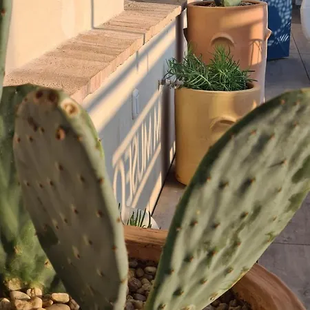 Hom Museo ゲストハウス