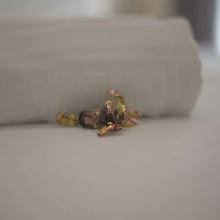 ゲストハウス Hom Museo *