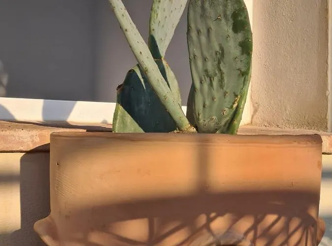 Konukevi Hom Museo Sevilla