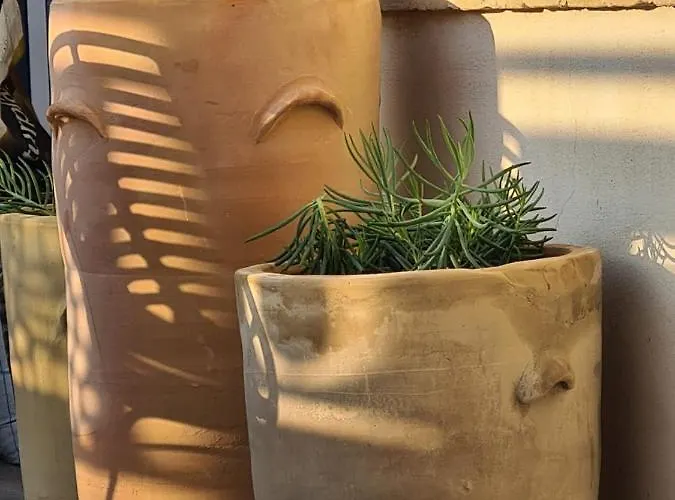 Hom Museo Konukevi Sevilla