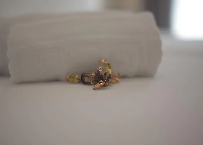 Konukevi Hom Museo *